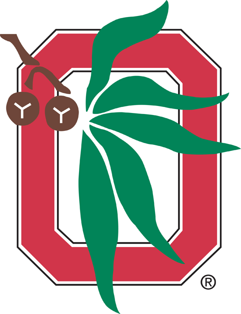 Ohio State Buckeyes 1968-Pres Alternate Logo v3 iron on transfers for fabric